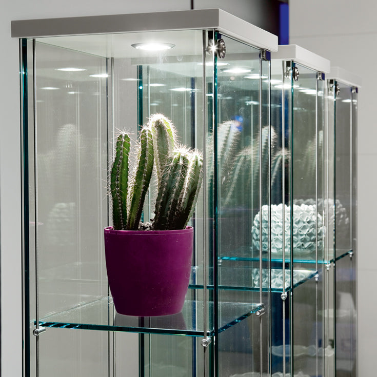 Vetrina Mini Director Cattelan - struttura in cristallo e fondo in legno